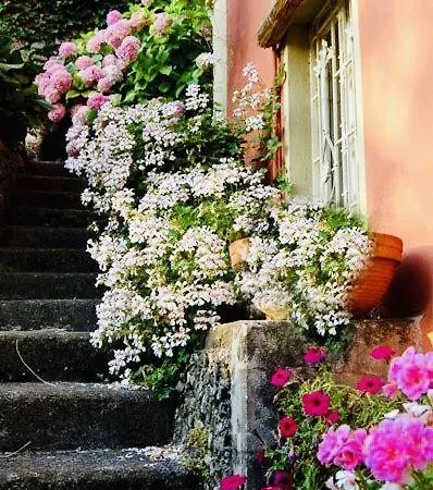 Villa Nice